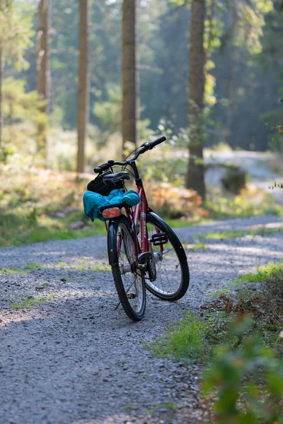 Uma Bicicleta Floresta — Fotografia de Stock