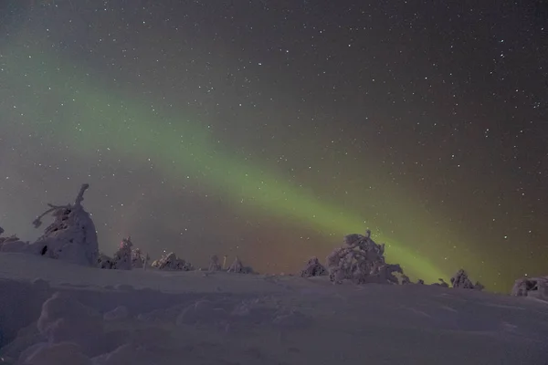 지역의 북극광 — 스톡 사진