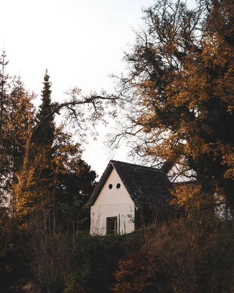 Ξύλινο Σπίτι Στο Δάσος — Φωτογραφία Αρχείου