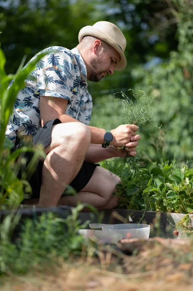 Ung Jordbrukare Hatt Arbetar Trädgården — Stockfoto