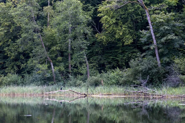 Krásný Výhled Jezero — Stock fotografie