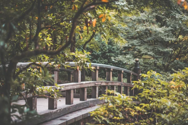 Schöne Aussicht Auf Den Park — Stockfoto