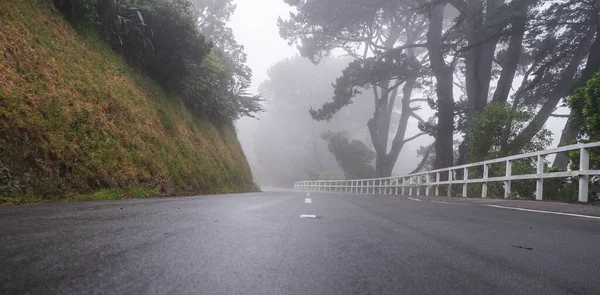 Strada Nel Bosco — Foto Stock