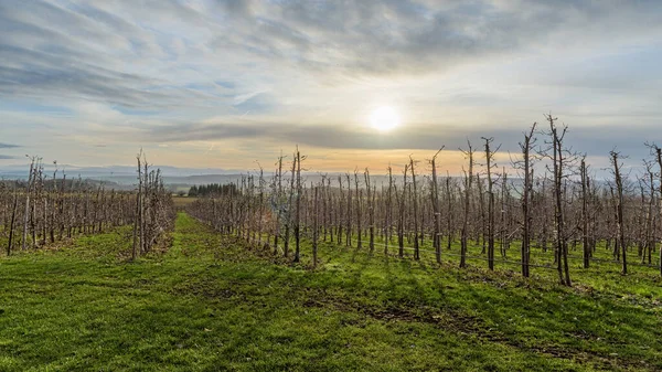 Prachtige Zonsondergang Het Platteland — Stockfoto