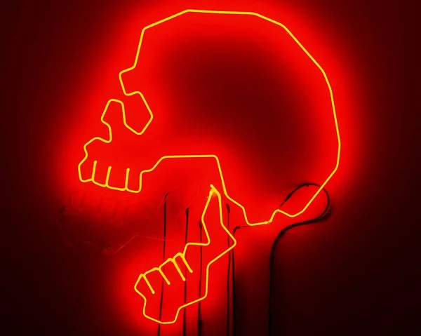 Cráneo Humano Con Corazón Rojo Ilustración Vectorial — Foto de Stock