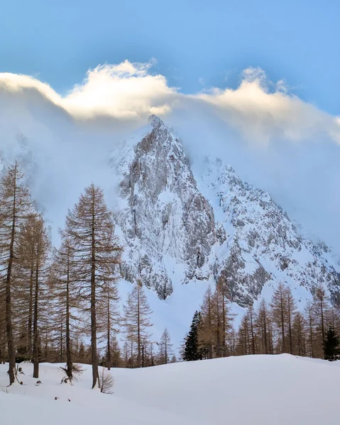 Bela Vista Das Montanhas Floresta Coberta Neve Nuvens — Fotografia de Stock
