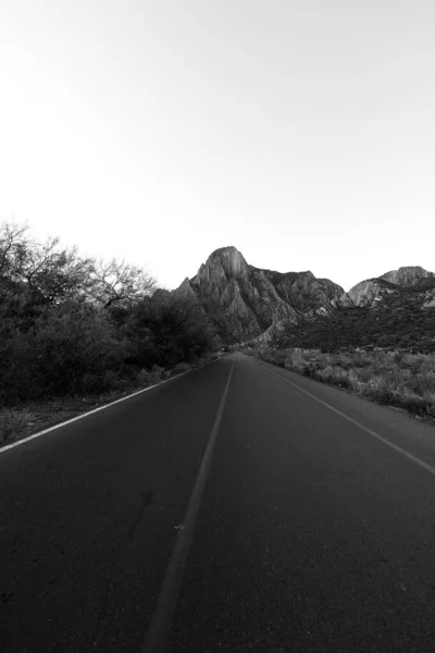 Empty Road Desert — Stock Photo, Image