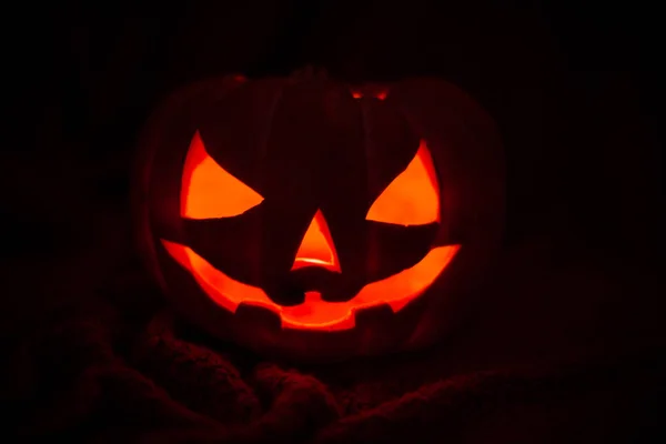 Calabaza Halloween Con Gato Linterna Sobre Fondo Blanco — Foto de Stock