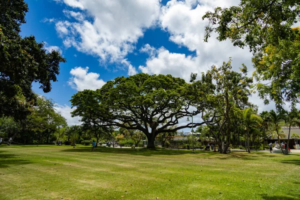 Vacker Utsikt Över Parken — Stockfoto