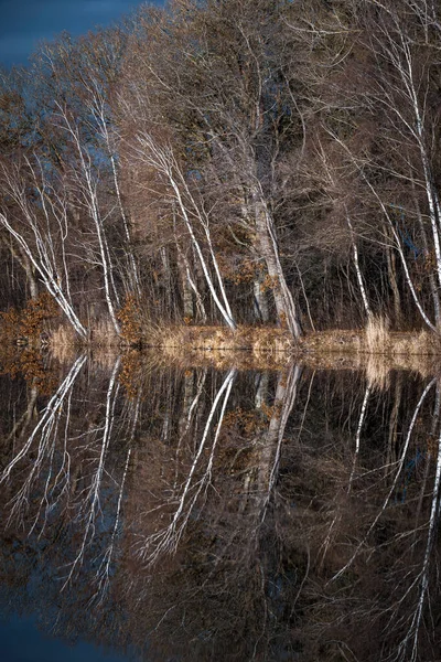 Bela Paisagem Com Rio Lago — Fotografia de Stock