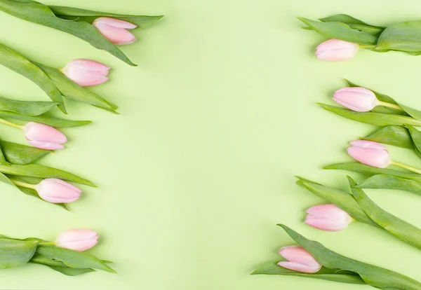 Bahar Arkaplanı Lale Çiçeklerinin Üst Görünümü Kopyalama Alanı — Stok fotoğraf