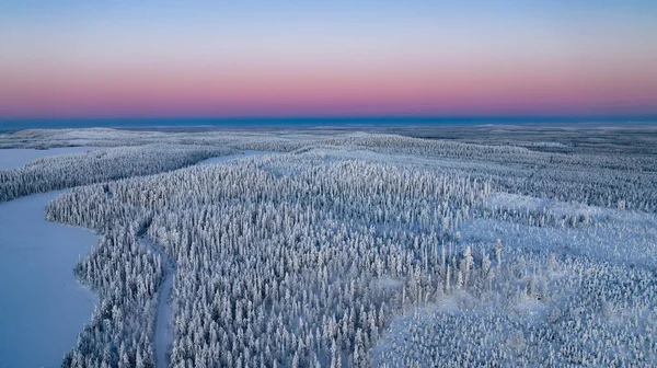 Prachtig Winterlandschap Met Besneeuwde Bomen — Stockfoto