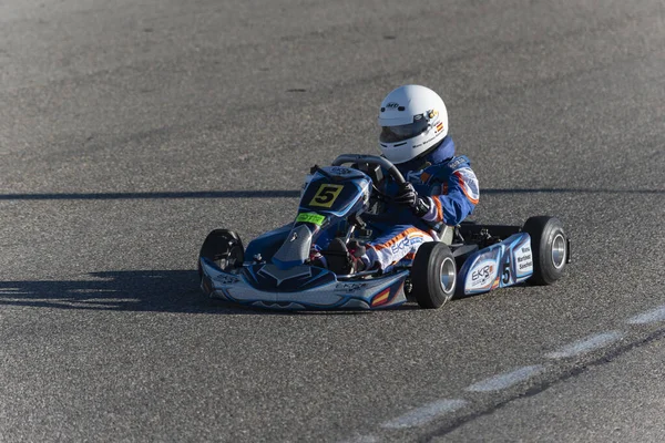 Vista Del Campeonato Karting —  Fotos de Stock