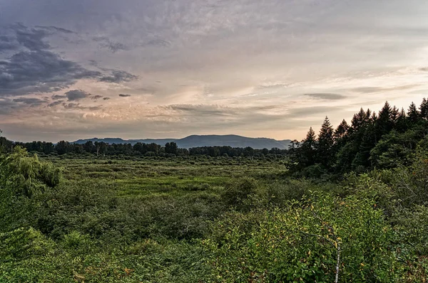 Krásná Krajina Horou Lesem — Stock fotografie