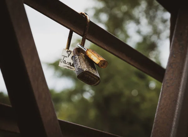 Eheringe Auf Der Brücke — Stockfoto