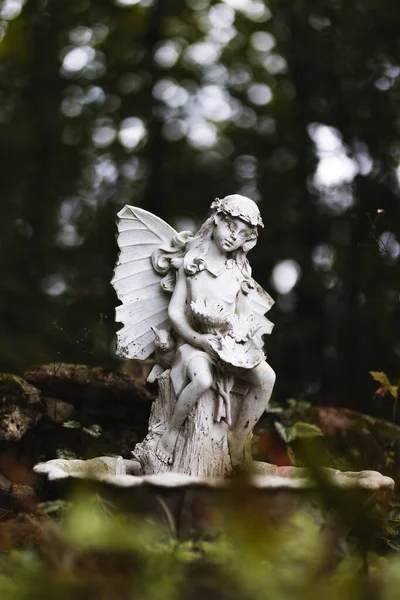 Statue Ange Dans Parc — Photo