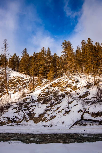 Floresta Coberta Neve Inverno — Fotografia de Stock