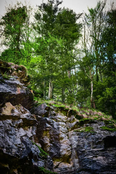 Vackert Landskap Med Ett Vattenfall — Stockfoto