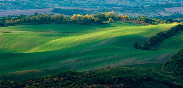 Bellissimo Paesaggio Con Campi Verdi Alberi — Foto Stock