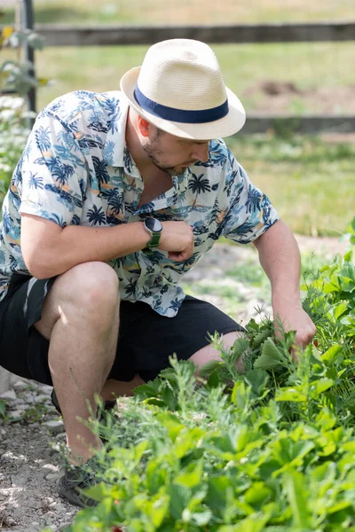 Young Farmer Hat Working Garden — стоковое фото