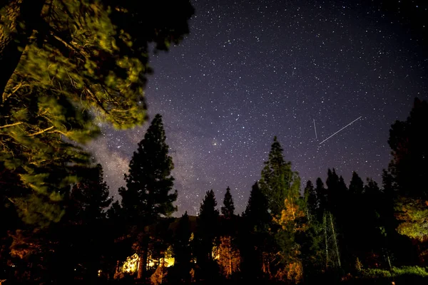 Ciel Nocturne Avec Étoiles Arbres — Photo