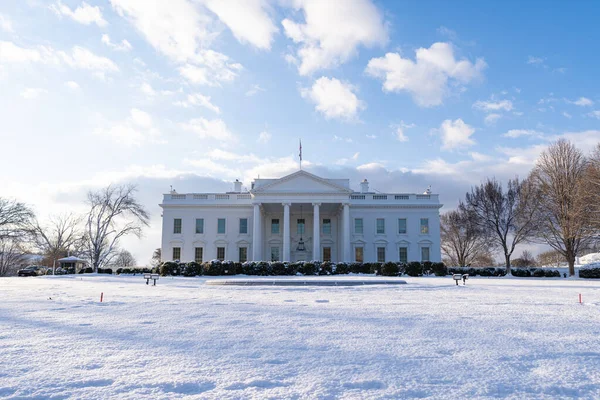 Het Besneeuwde Winterpaleis Het Park — Stockfoto