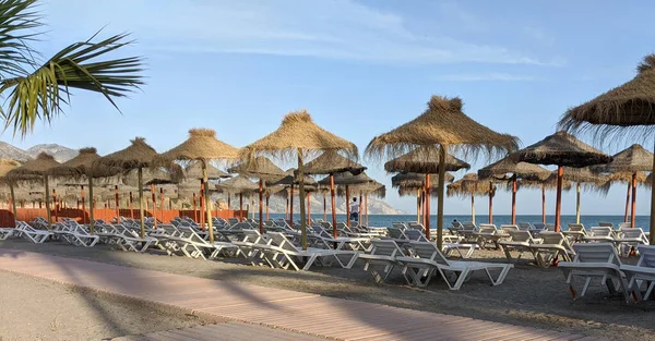 Gyönyörű Strand Esernyőkkel Székekkel Homokos Parton — Stock Fotó