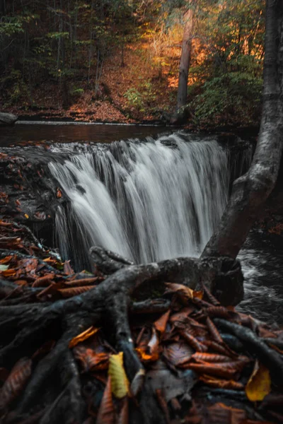 Hermosa Cascada Bosque — Foto de Stock