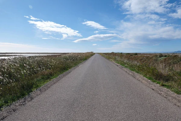 Camino Campo — Foto de Stock