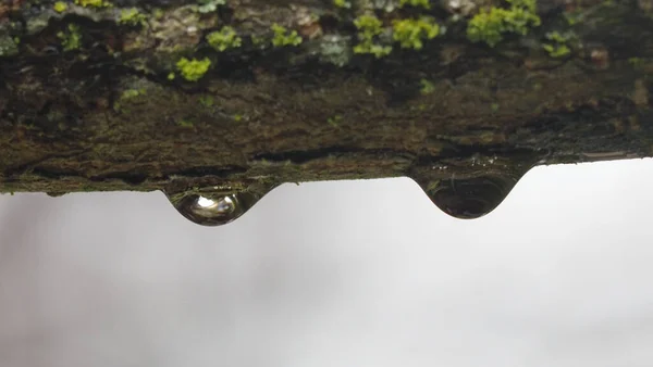 Капли Воды Крыше Реки — стоковое фото