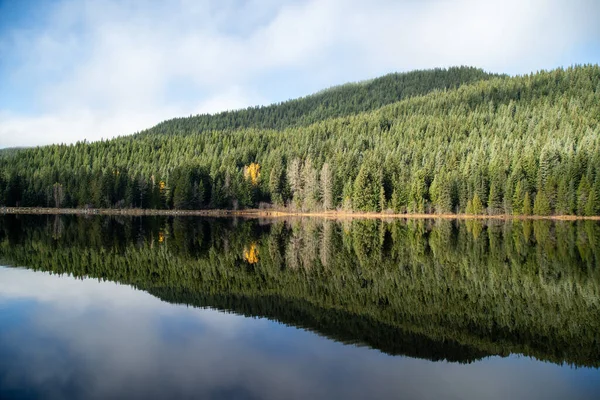 Bela Paisagem Com Lago Floresta — Fotografia de Stock