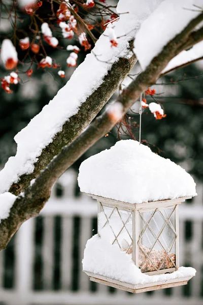 Christmas Tree Snow White Berries — Stock Photo, Image