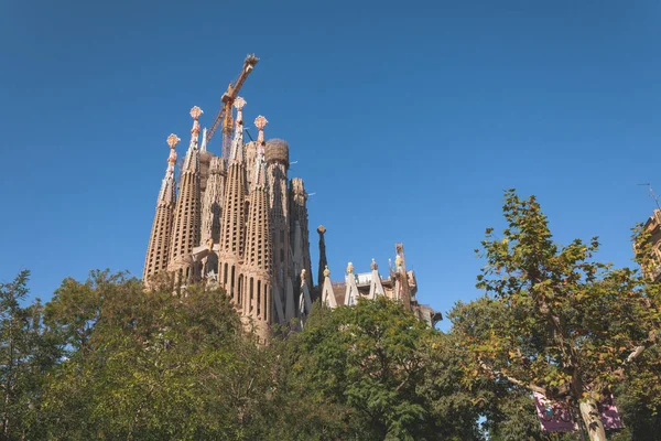 バルセロナ大聖堂の眺め — ストック写真