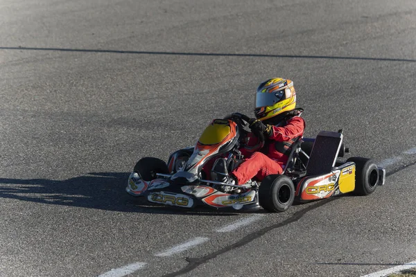 Vista Del Campeonato Karting — Foto de Stock