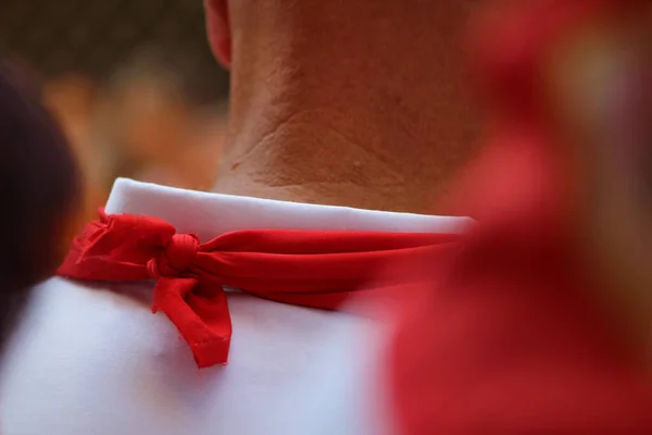 Gros Plan Une Rose Rouge Dans Une Robe Blanche — Photo