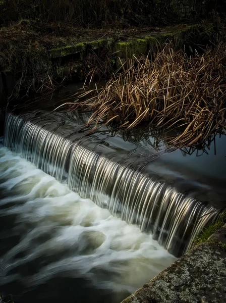 Cascade Dans Forêt — Photo