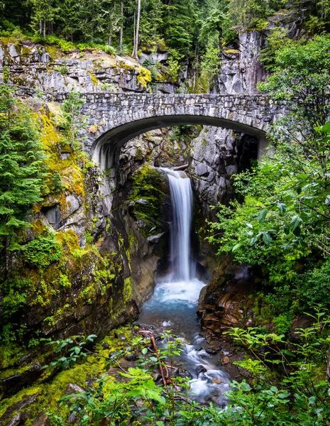 Vattenfall Skogen — Stockfoto