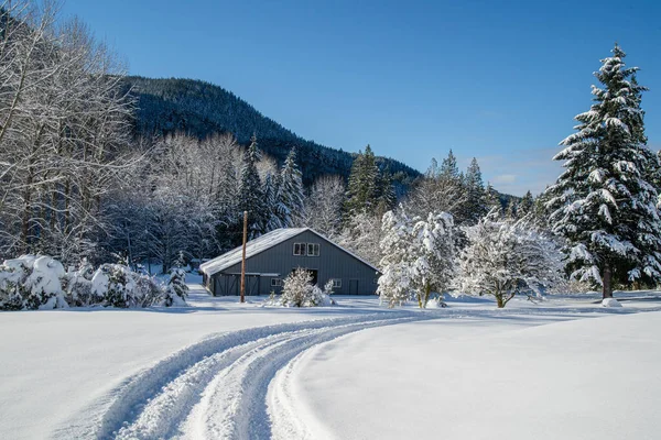 Winterlandschap Met Besneeuwde Bomen — Stockfoto