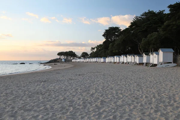 Gyönyörű Strand Pálmafákkal Tengerrel — Stock Fotó