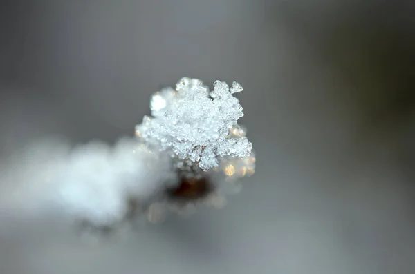 Bevroren Sneeuw Een Winterdag — Stockfoto