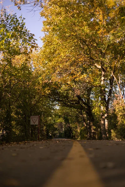 Podzimní Park Městě — Stock fotografie