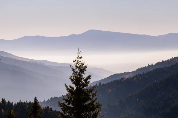 Krásná Krajina Horami Stromy — Stock fotografie