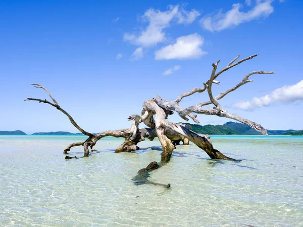 カリブ海の北の海に浮かぶ熱帯の島の美しい風景は — ストック写真