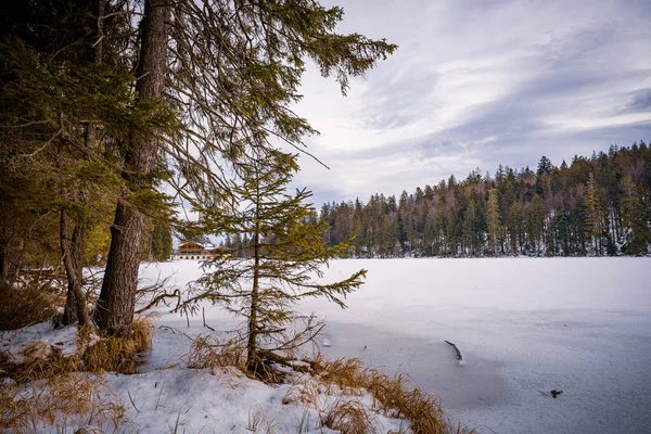 Красивий Зимовий Пейзаж Снігом Деревами — стокове фото