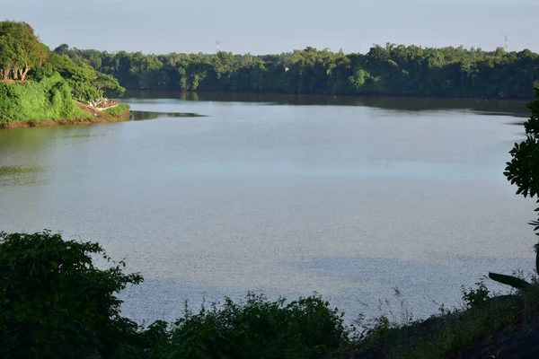 Fluss Und Wald Sommer — Stockfoto