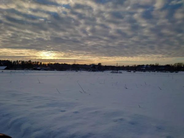 Winterlandschap Met Sneeuw Bomen — Stockfoto