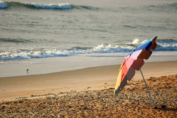 海滨沙滩上的遮阳伞 — 图库照片