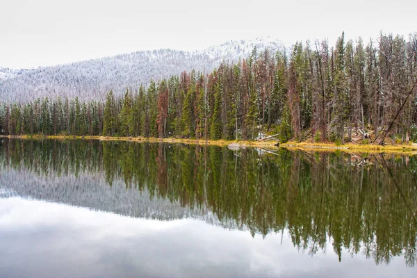 Bela Paisagem Com Lago Floresta — Fotografia de Stock