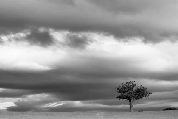 Zwart Wit Foto Van Een Prachtige Storm Wolken — Stockfoto