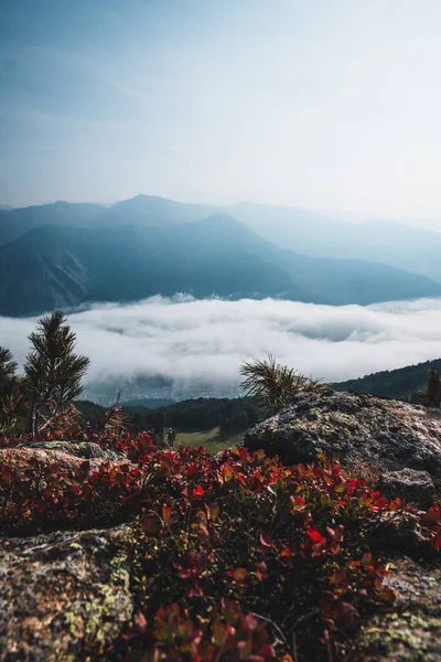 Красивий Краєвид Горами — стокове фото